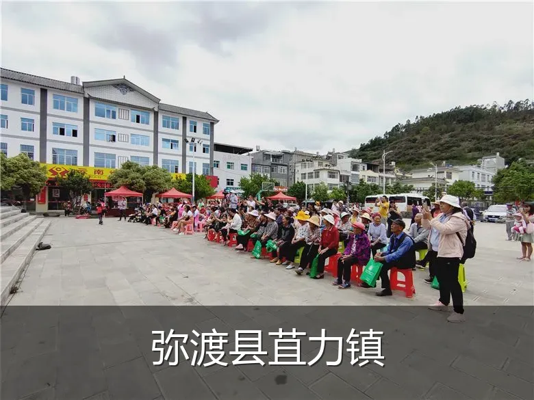 弥渡县苴力镇